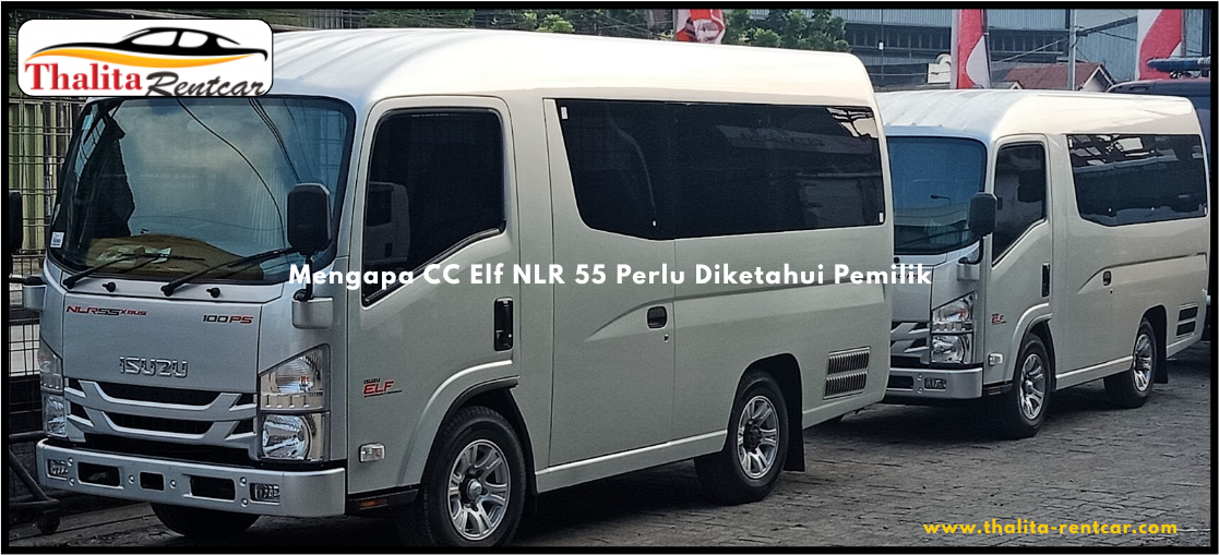 Mengapa CC Elf NLR 55 Perlu Diketahui Pemilik