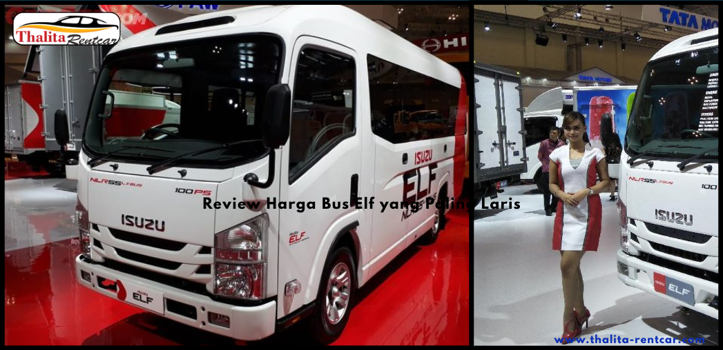 Review Harga Bus Elf yang Paling Laris